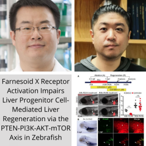 Dr. Donghun Shin, Dr. Sungjin Ko, and colleagues publish in Hepatology