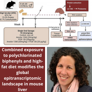 Dr. Juliane Beier co-author manuscript in Environmental Epigenetics