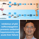 Dr. Wen Xie and colleagues publish manuscript in Gastroenterology