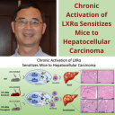 Dr. Wen Xie and colleagues publish manuscript in Hepatology Communications