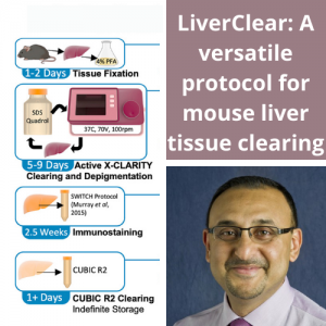 Dr. Paul Monga and colleagues publish liver tissue protocol in Star Protocols