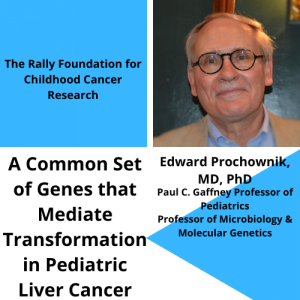Dr. Edward Prochownik awarded The Rally Foundation for Childhood Cancer Research Grant