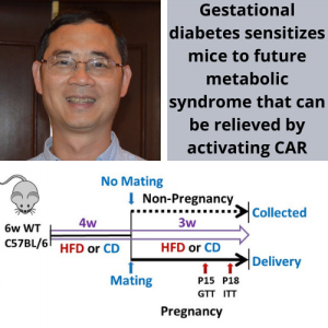 Dr. Wen Xie and colleagues publish article in Endocrinology