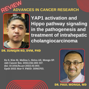 Dr.Sungjin Ko and Dr. Paul Monga author a review in advances in cancer research.