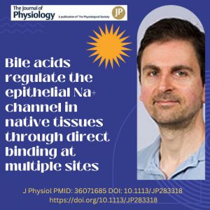 Dr Ossama Kashlan and colleagues publish in Journal of Physiology