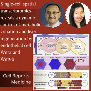 Dr. Monga and Team Publish In Cell Reports Medicine