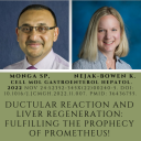 Dr. Monga and Dr. Nejak-Bowen Publish in Cellular and Molecular Gastroenterology and Hepatology