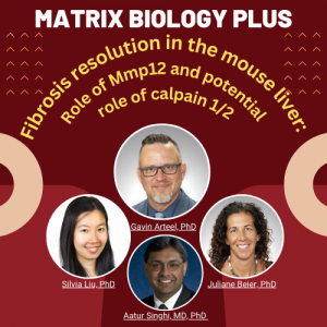 Dr. Gavin Arteel and colleagues publish in Matrix Biology Plus