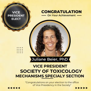 Juliane Beier elected to Vice President-elect position in Society of Toxicology