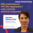 Marlies Meisel coauthors paper in Nature Immunology