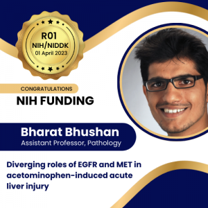 Bharat Bhushan receives NIH/NIDDK R01 Funding