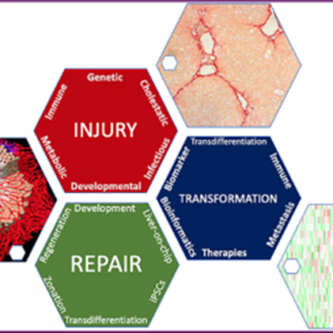 INJURY              Scientific Interest Group             Roundtable