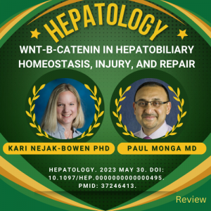 Drs. Kari Nejak-Bowen & Paul Monga author review article in Hepatology