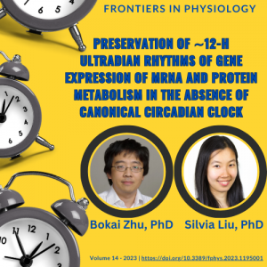 Drs. Bokai Zhu and Silvia Liu Publish article in Frontiers in Physiology