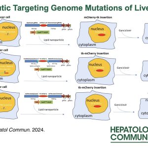 The Genomics Core Publishes in Hepatology Communications